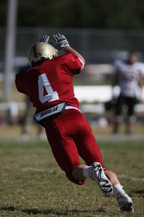 九游手游官网-冠军球队赛季告别仪式感人，感恩球员与球迷，球队夺冠怎么发朋友圈