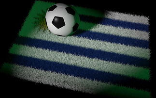 九游体育平台官网-国足主帅研究新阵型适应对手，国足对手主帅辞职